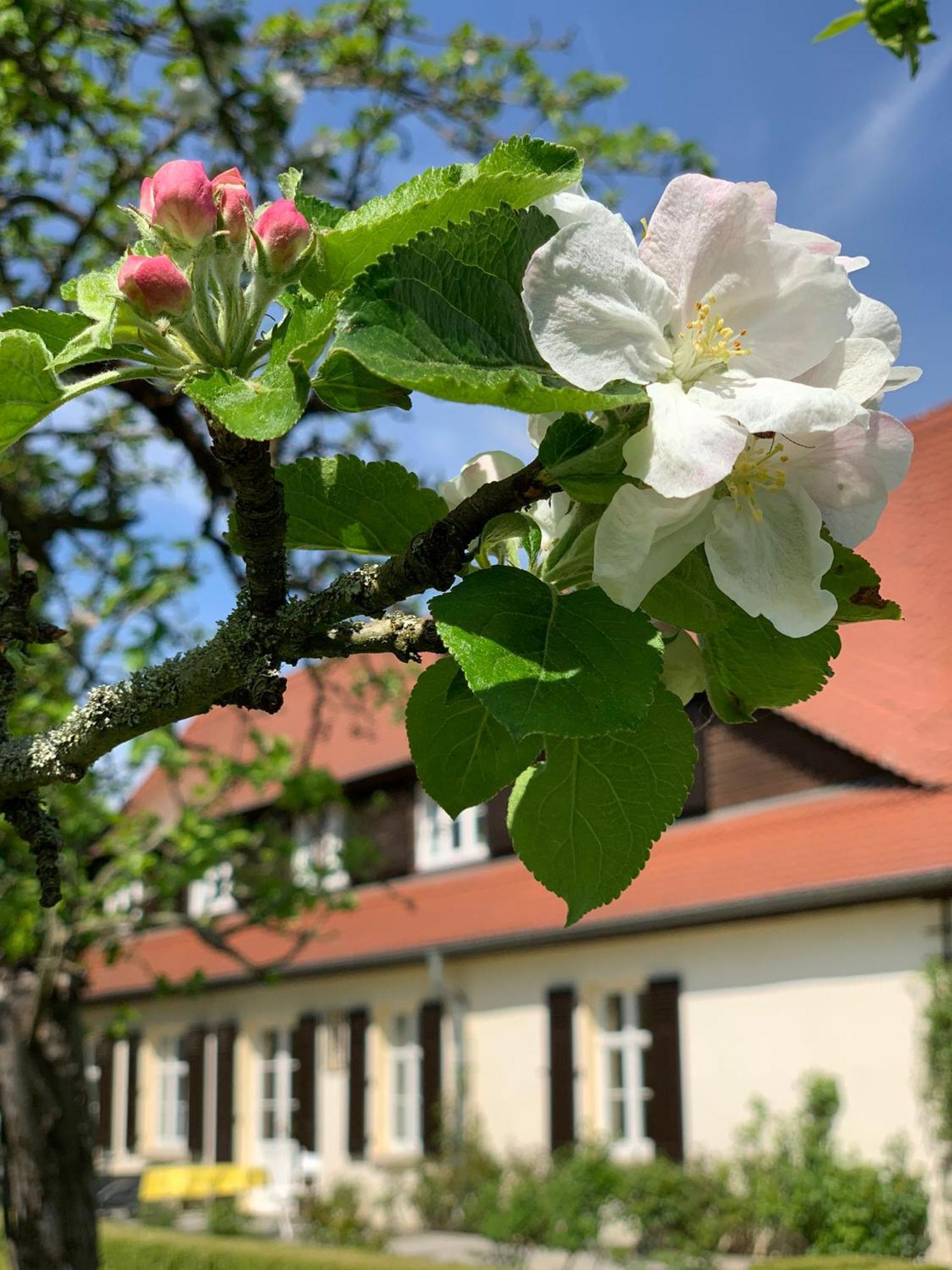 Landhaus Saaleck Naumburg  Bagian luar foto