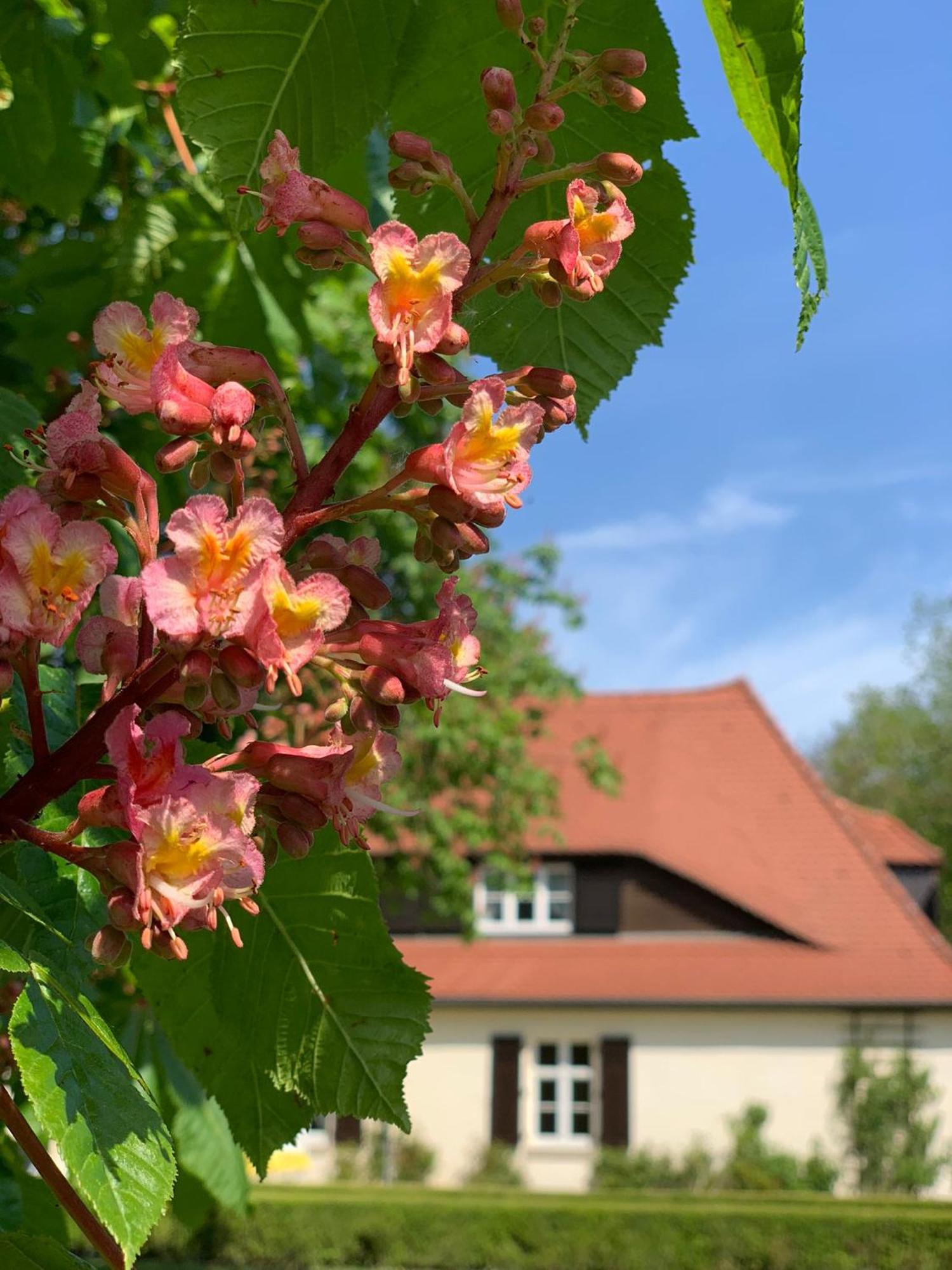 Landhaus Saaleck Naumburg  Bagian luar foto